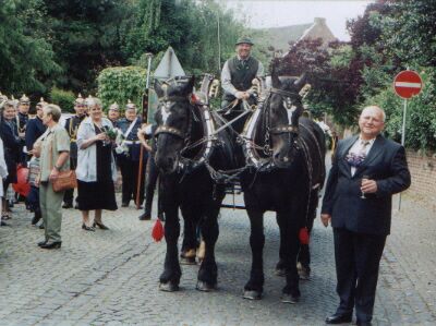 Großes Bild
