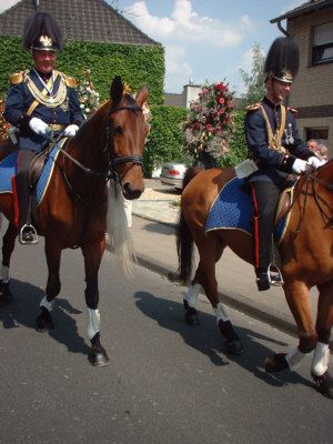 Großes Bild