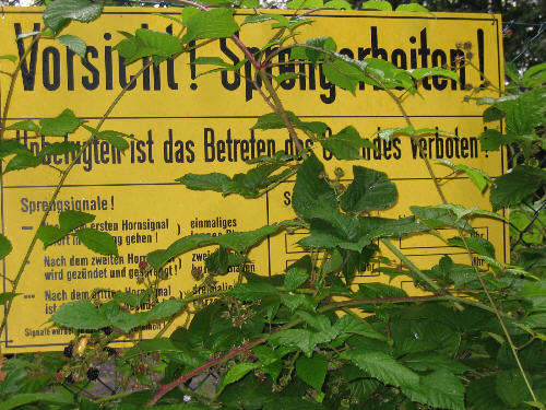 Großes Bild