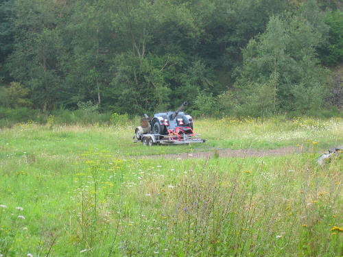 Großes Bild