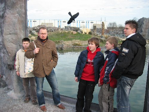 Großes Bild