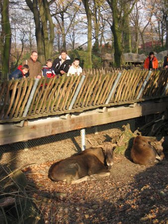 Großes Bild