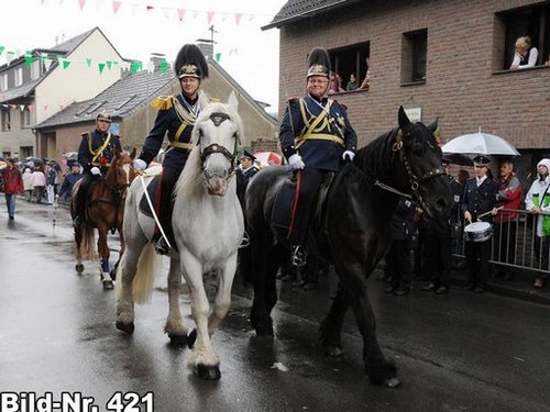 Großes Bild
