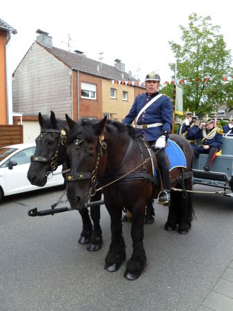 Großes Bild