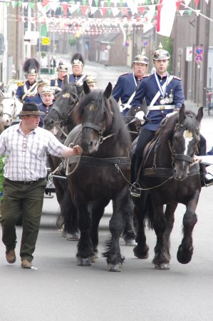 Großes Bild