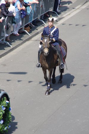 Großes Bild