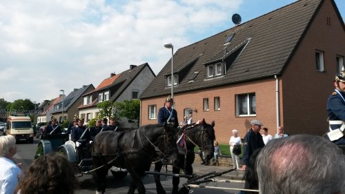 Großes Bild
