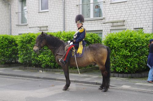 Großes Bild