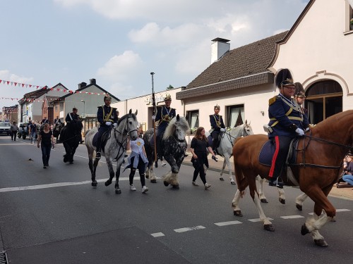 Großes Bild