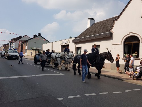 Großes Bild