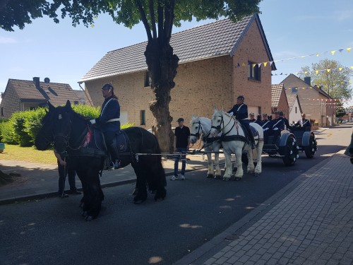 Großes Bild