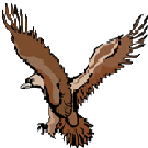 Zum Vogelschuss